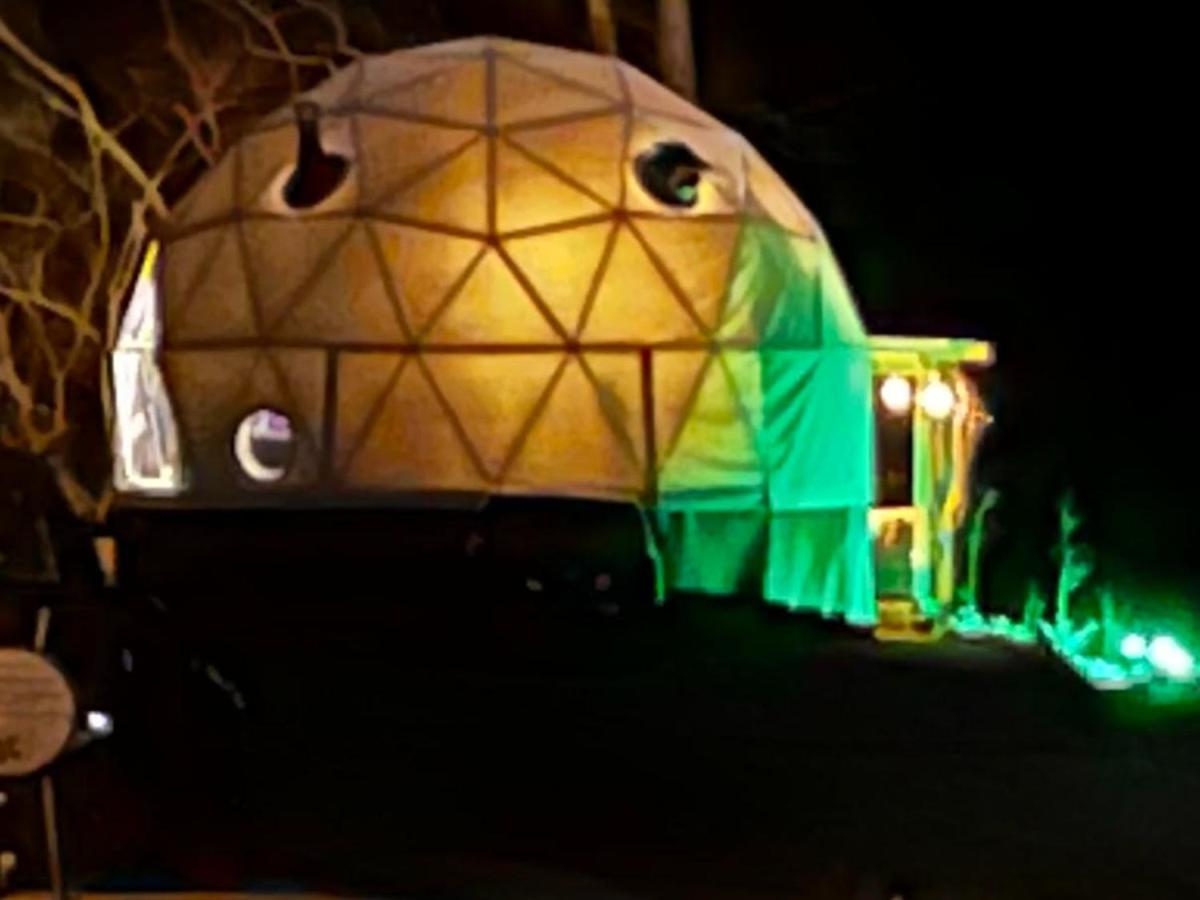 Waterfront Luxury Glamping Dome Hotel Rogersville Eksteriør billede