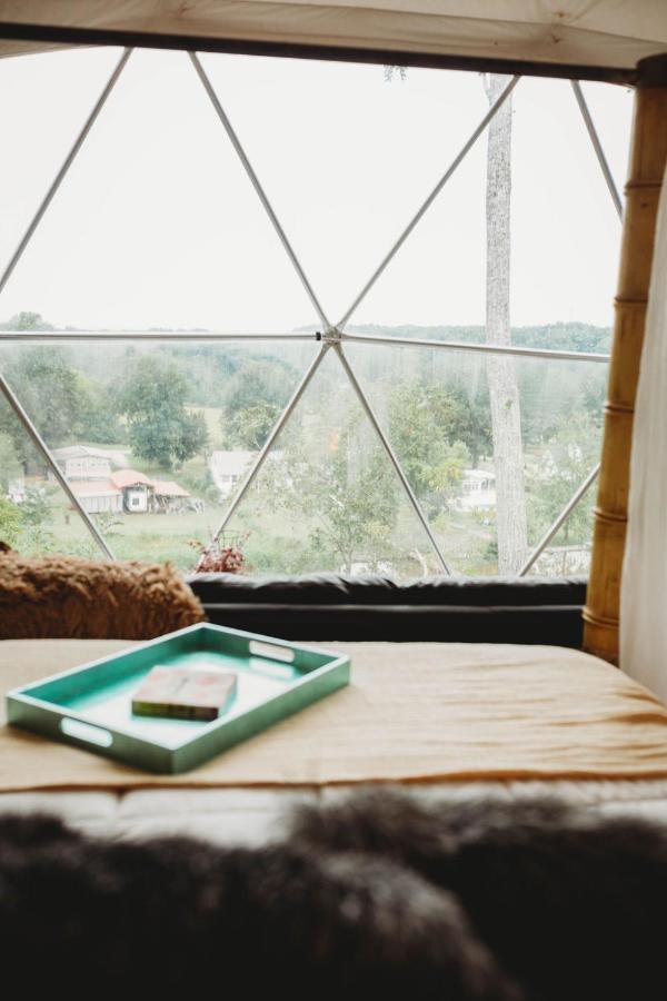 Waterfront Luxury Glamping Dome Hotel Rogersville Eksteriør billede